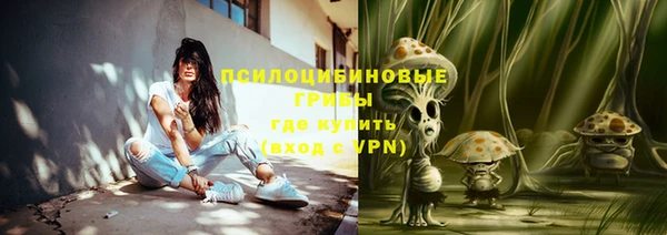 ПСИЛОЦИБИНОВЫЕ ГРИБЫ Гусиноозёрск
