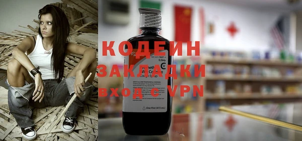 ГАЛЛЮЦИНОГЕННЫЕ ГРИБЫ Гусев