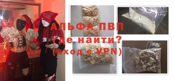 ГАЛЛЮЦИНОГЕННЫЕ ГРИБЫ Гусев