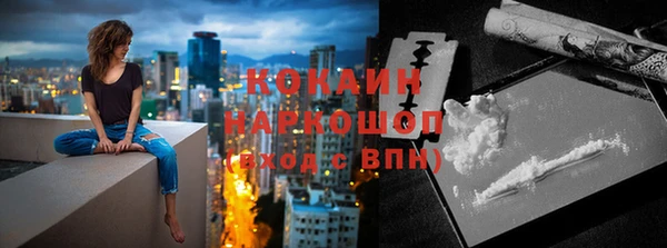 ГАЛЛЮЦИНОГЕННЫЕ ГРИБЫ Гусев