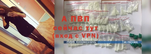 ПСИЛОЦИБИНОВЫЕ ГРИБЫ Гусиноозёрск