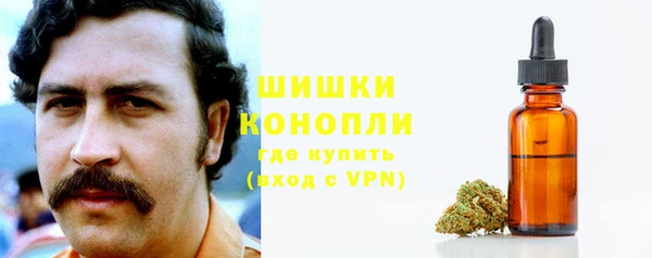 ПСИЛОЦИБИНОВЫЕ ГРИБЫ Гусиноозёрск