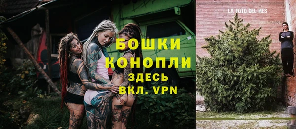 ГАЛЛЮЦИНОГЕННЫЕ ГРИБЫ Гусев