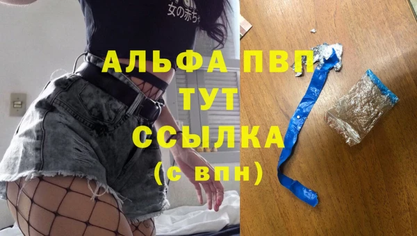 ГАЛЛЮЦИНОГЕННЫЕ ГРИБЫ Гусев