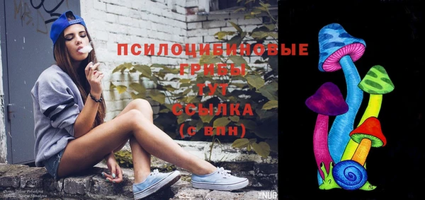 ГАЛЛЮЦИНОГЕННЫЕ ГРИБЫ Гусев