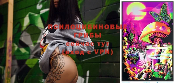 ПСИЛОЦИБИНОВЫЕ ГРИБЫ Гусиноозёрск