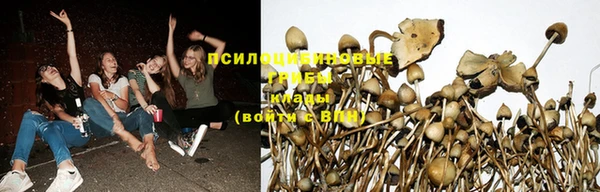 синтетический гашиш Гусь-Хрустальный