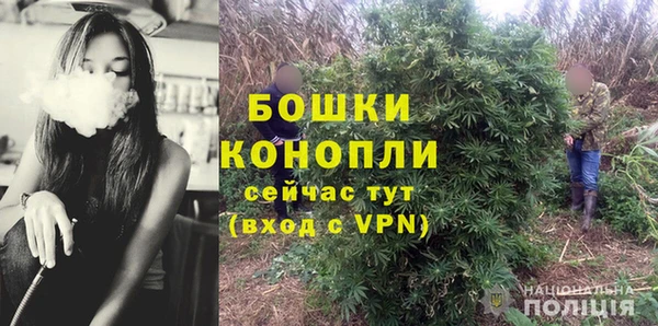 ГАЛЛЮЦИНОГЕННЫЕ ГРИБЫ Гусев