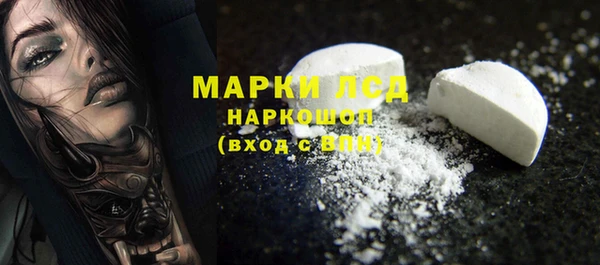 ГАЛЛЮЦИНОГЕННЫЕ ГРИБЫ Гусев