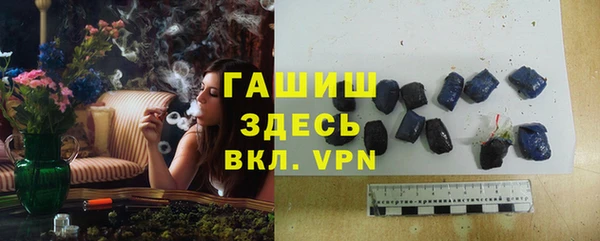 ГАЛЛЮЦИНОГЕННЫЕ ГРИБЫ Гусев